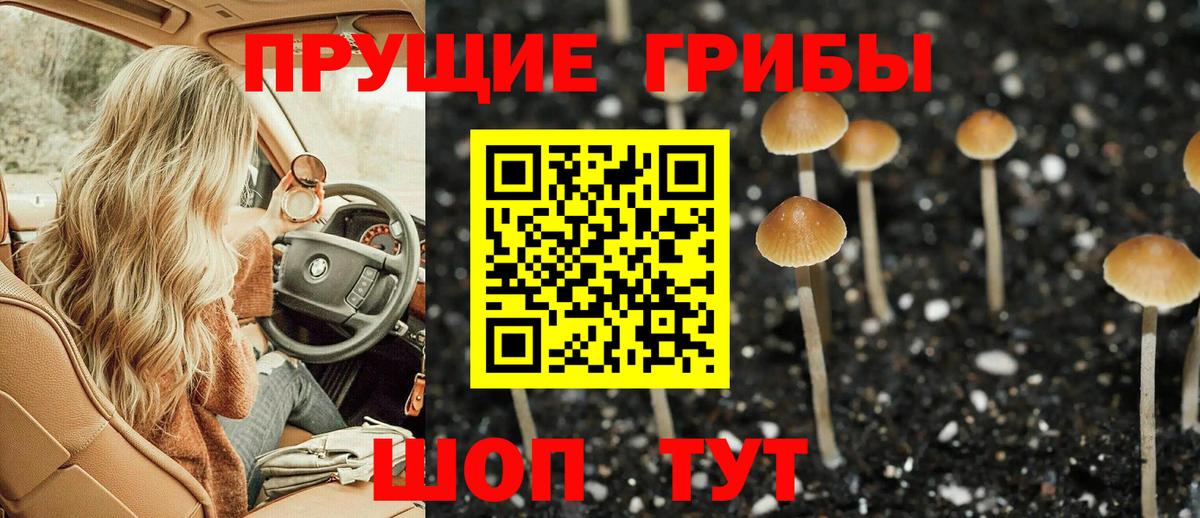 Псилоцибиновые грибы Psilocybe Зеленокумск