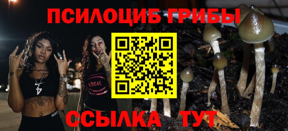 Галлюциногенные грибы Cubensis  Вход с VPN  Зеленокумск 